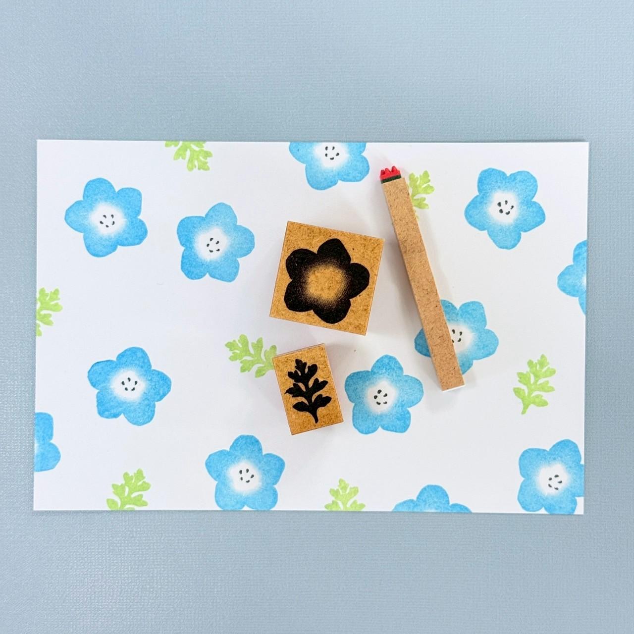 ネモフィラ | 2枚目