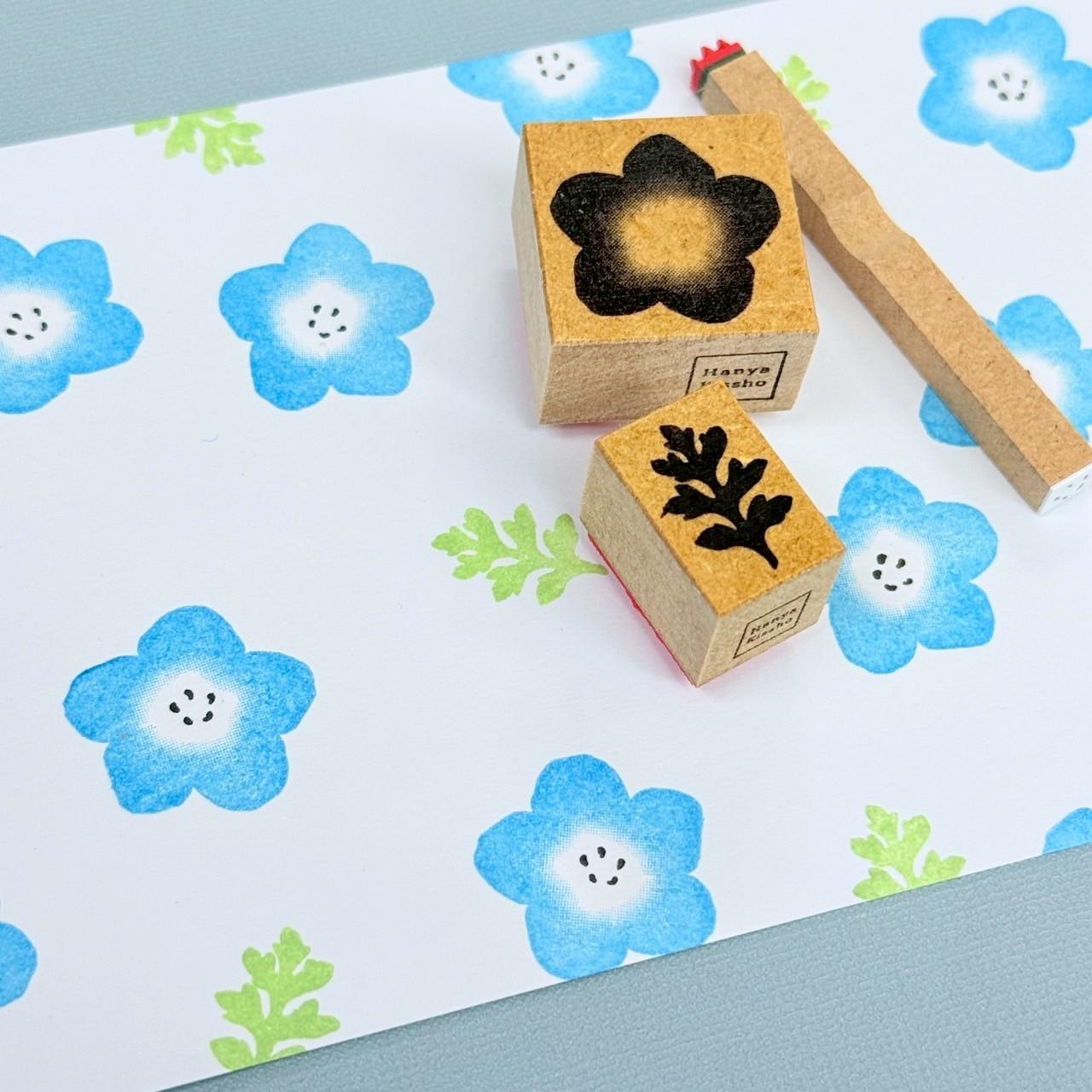 ネモフィラ1枚目の画像