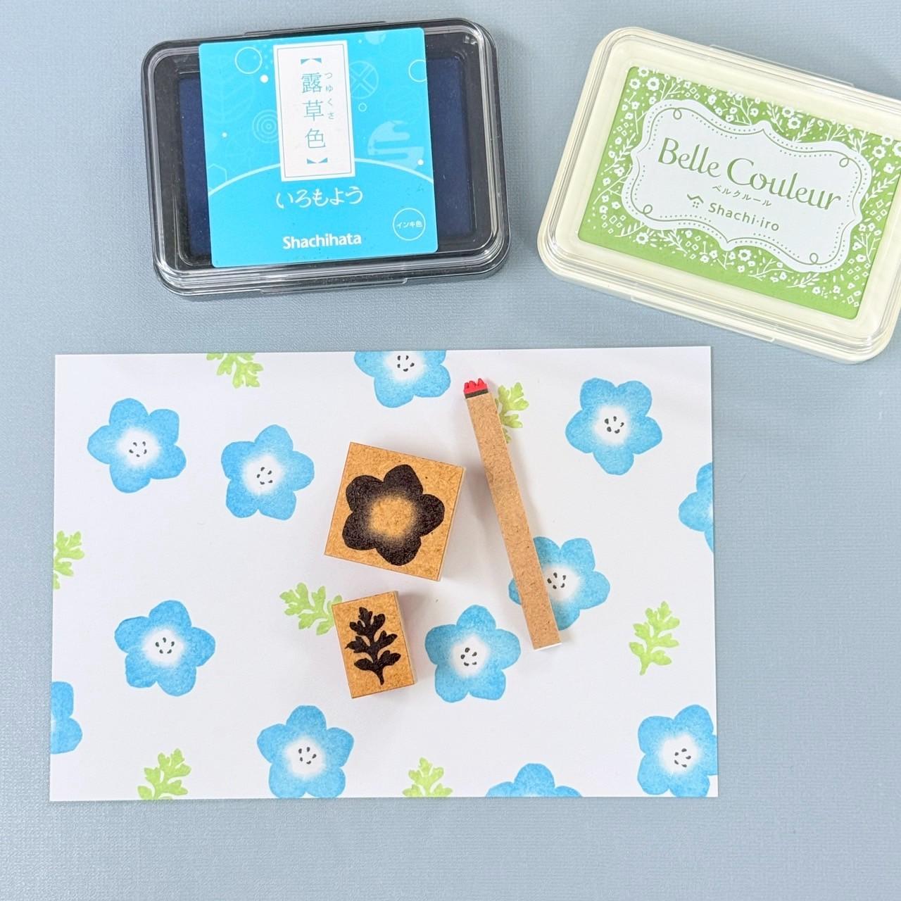 ネモフィラ | 3枚目