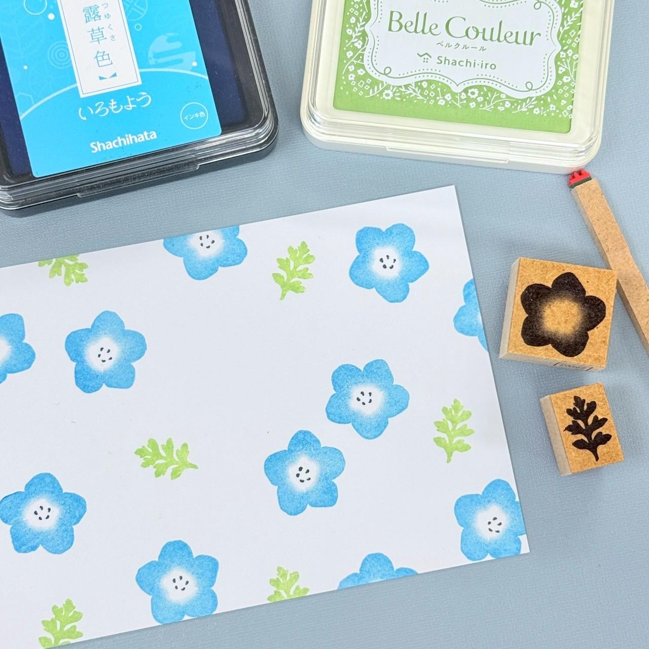 ネモフィラ | 4枚目