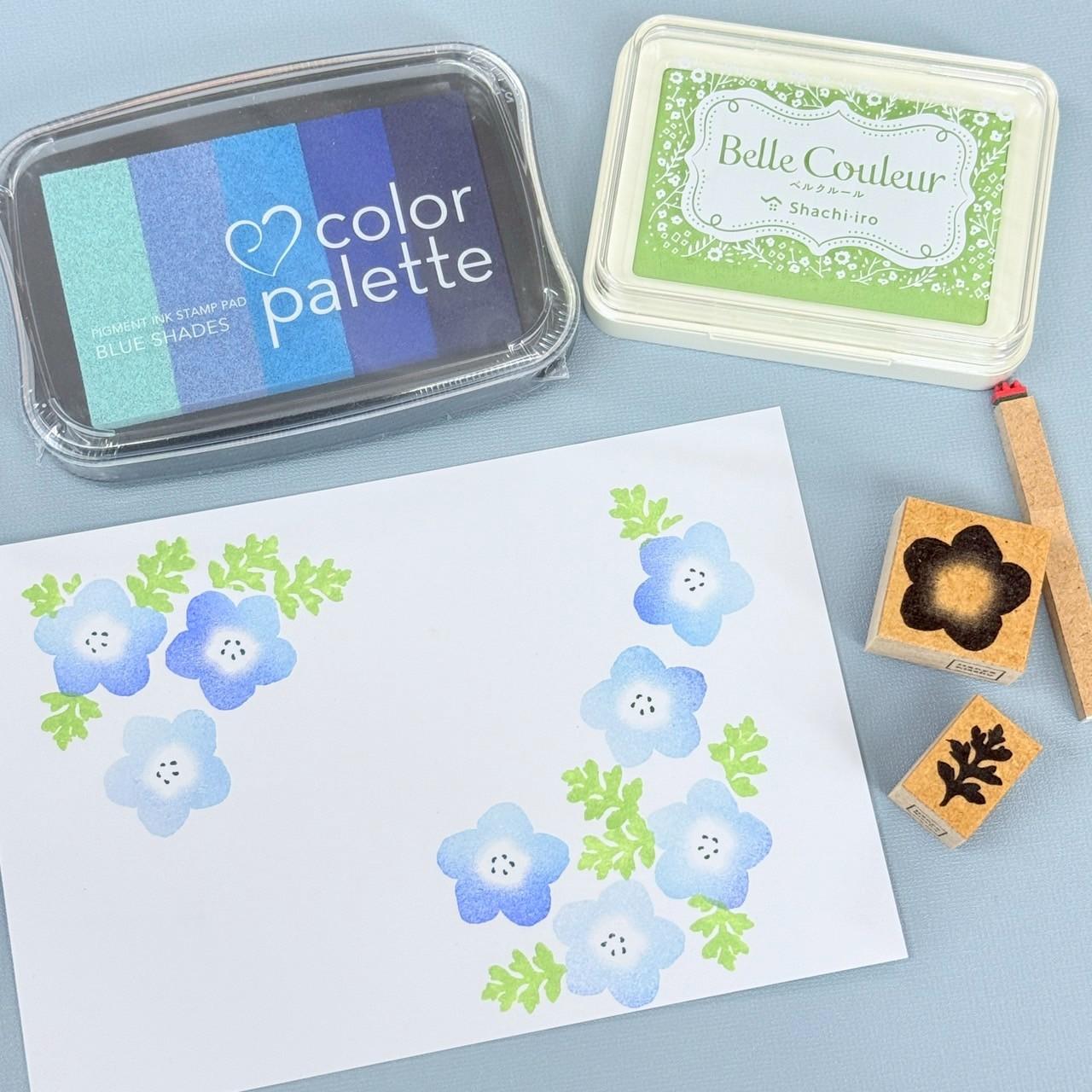 ネモフィラ | 6枚目