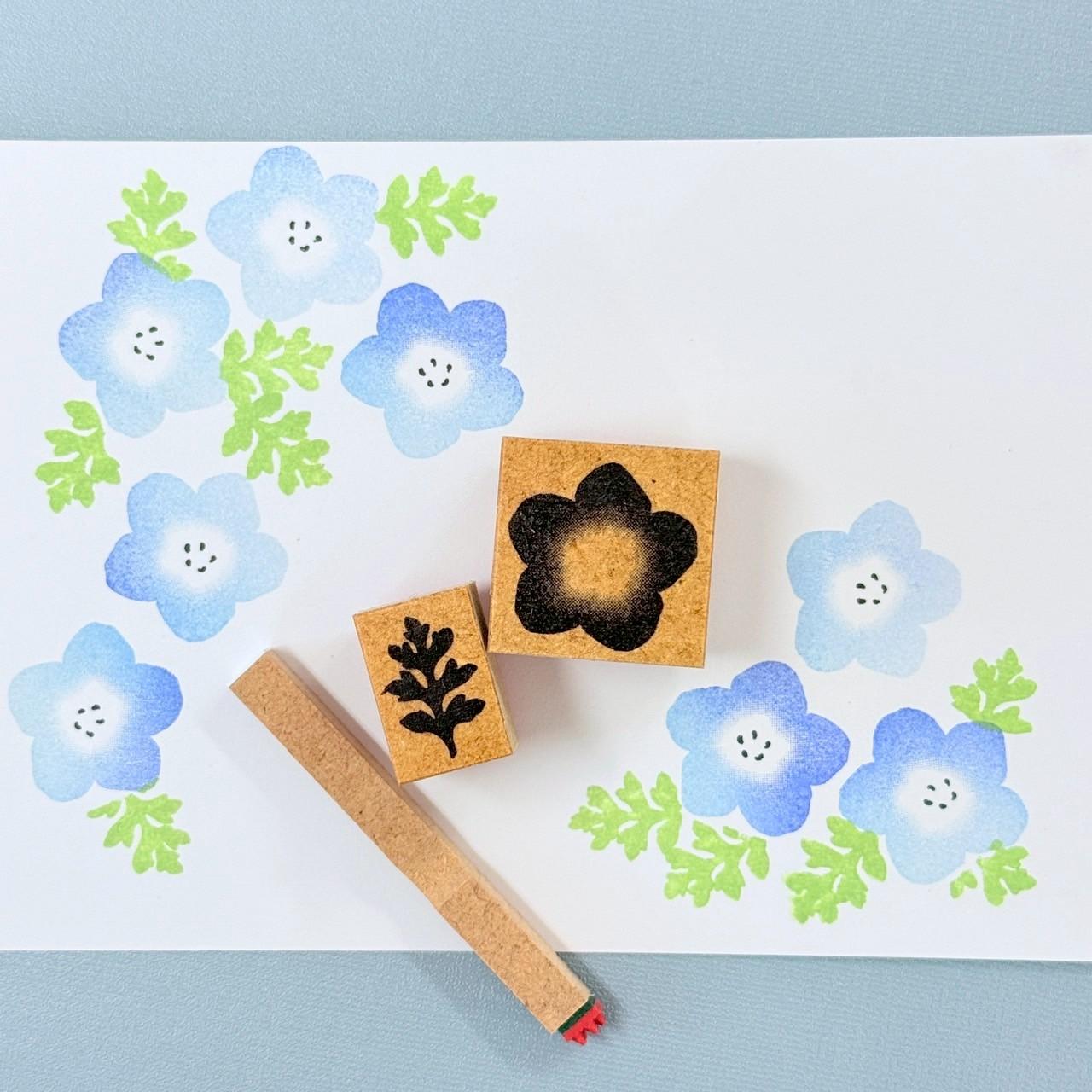 ネモフィラ | 5枚目