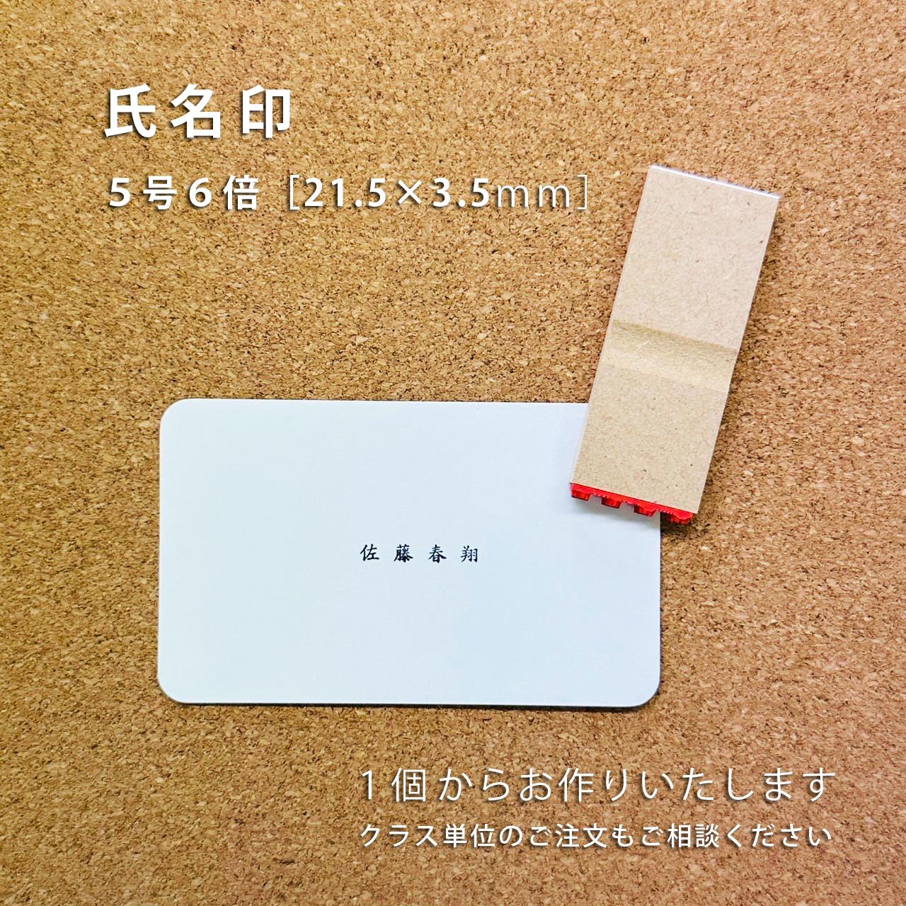 【オーダー】氏名印【5号6倍】1枚目の画像