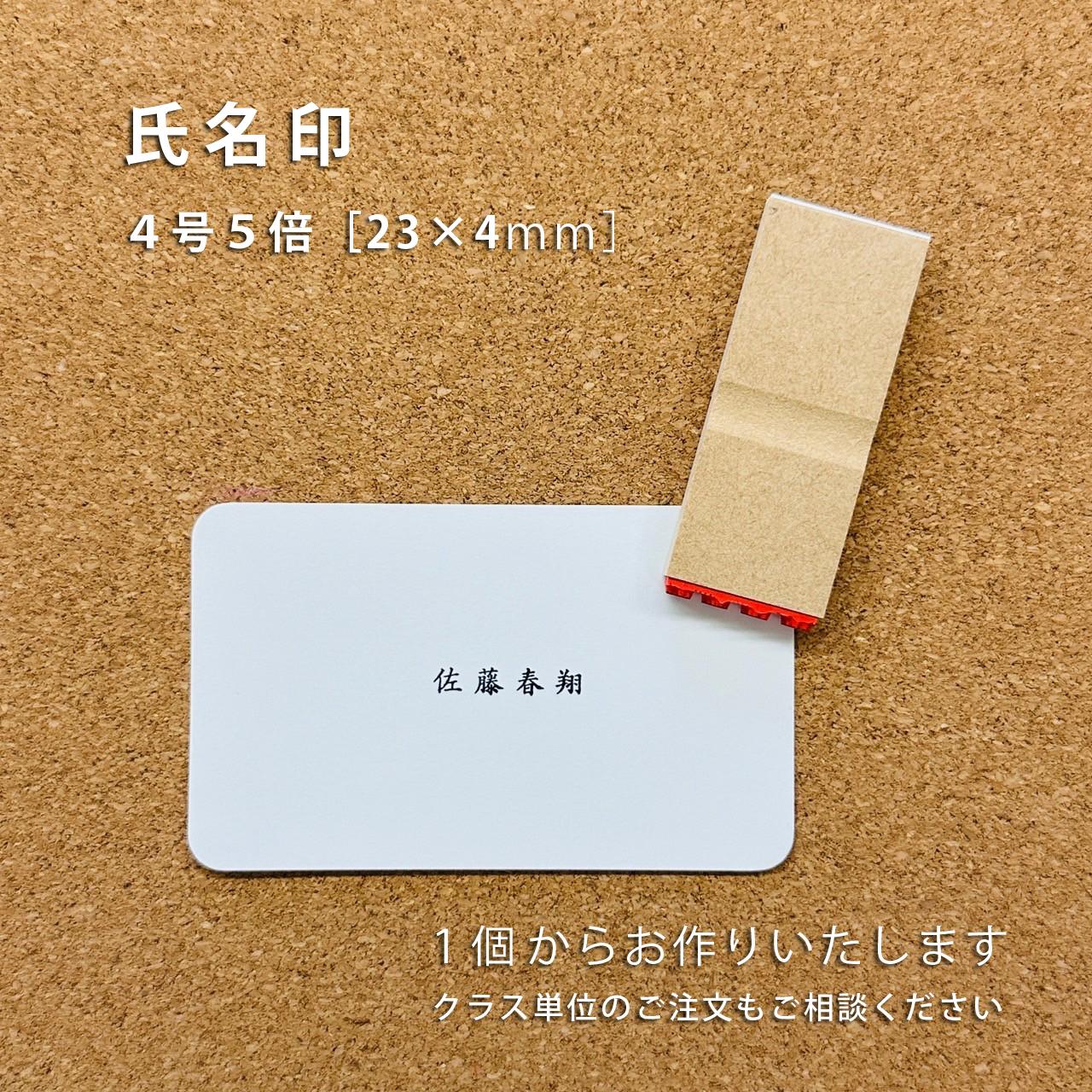 【オーダー】氏名印【4号5倍】1枚目の画像